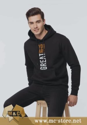 PREMİUM ŞARDONLU 3 İPLİK DTF BASKI KALIN KIŞLIK KAPŞONLU